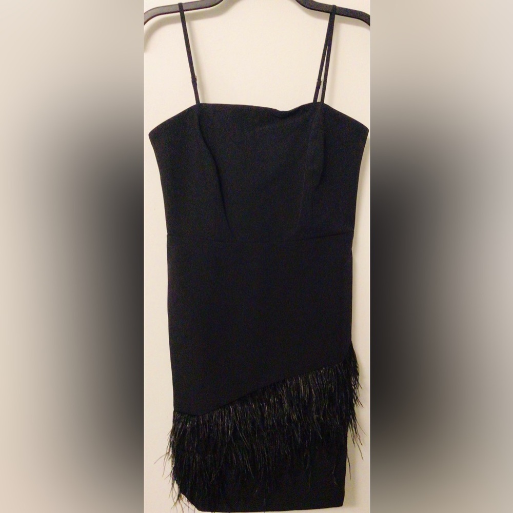 NWT SAM EDELMAN Black Feather hem  Sheath Dress size 6